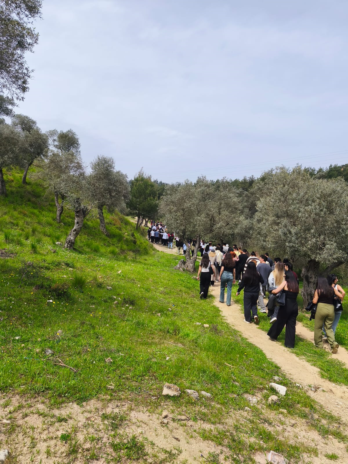 Milas MYO Öğrencileri Turizm Haftası’nda Doğa Yürüyüşü ve Piknik Etkinliğinde Buluştu