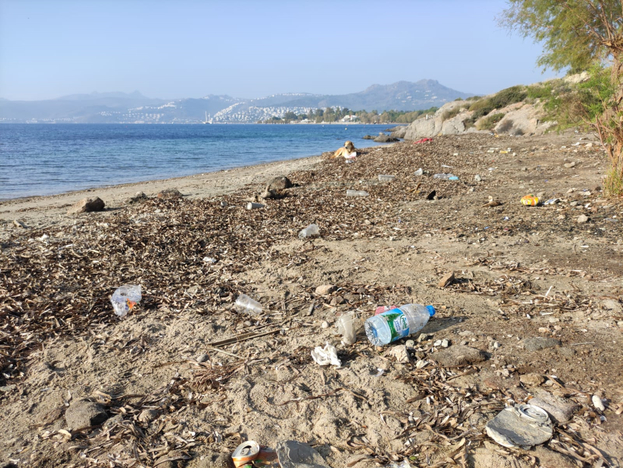 Öğretmen Adaylarımızdan Bodrum