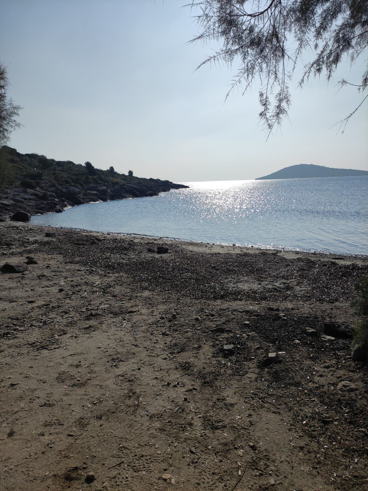 Öğretmen Adaylarımızdan Bodrum