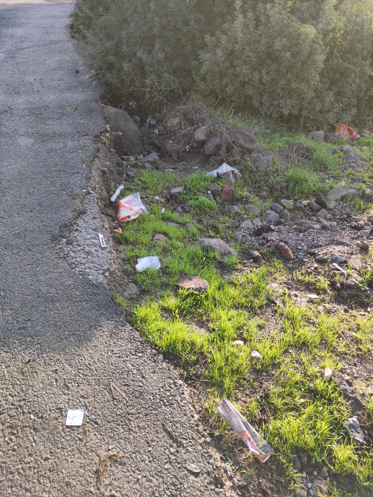 Öğretmen Adaylarımızdan Bodrum