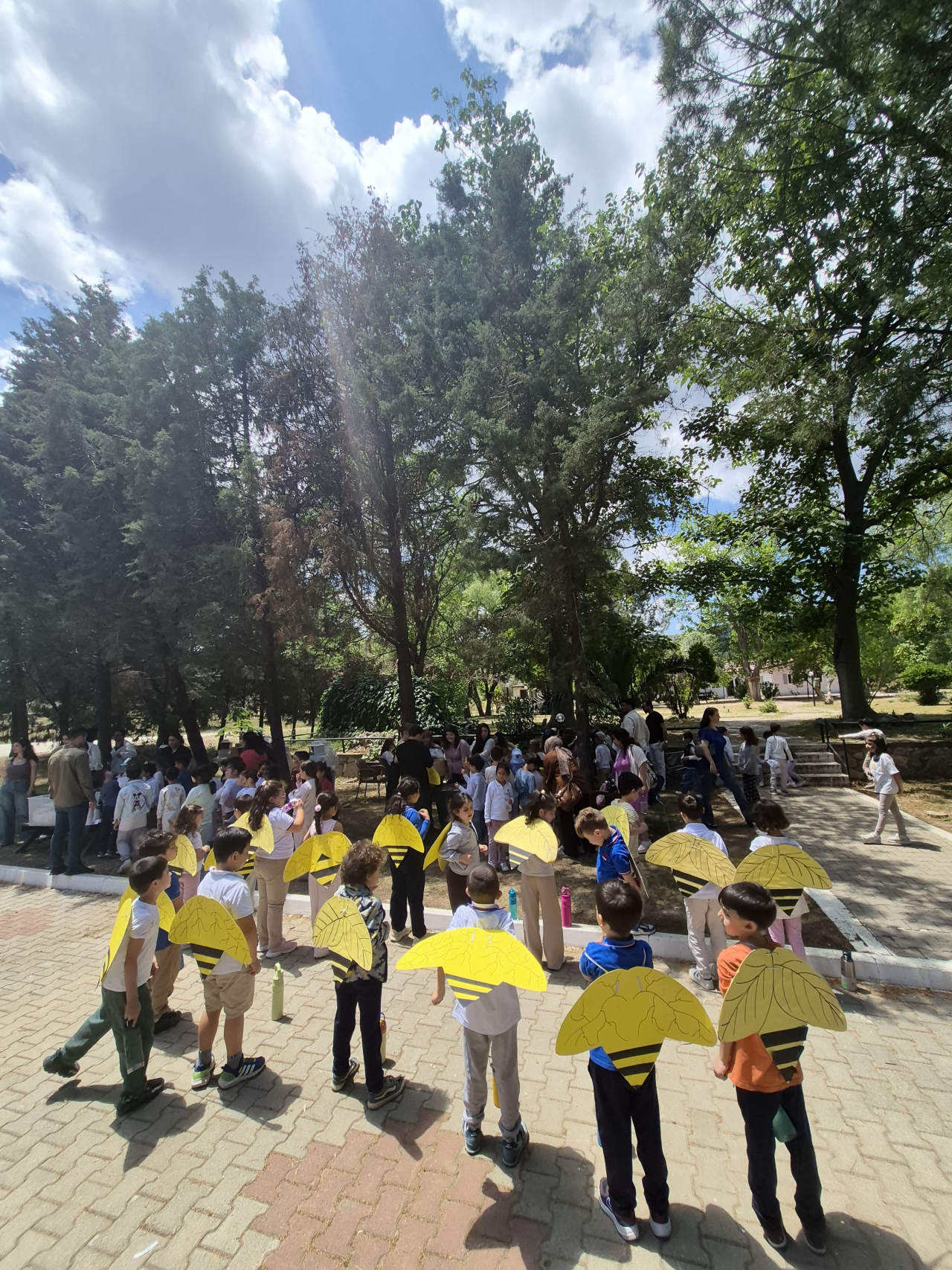Milas’ta "Arım Balım Çocuğum" Etkinliği ile Minik Öğrenciler Arıların Dünyasını Keşfetti