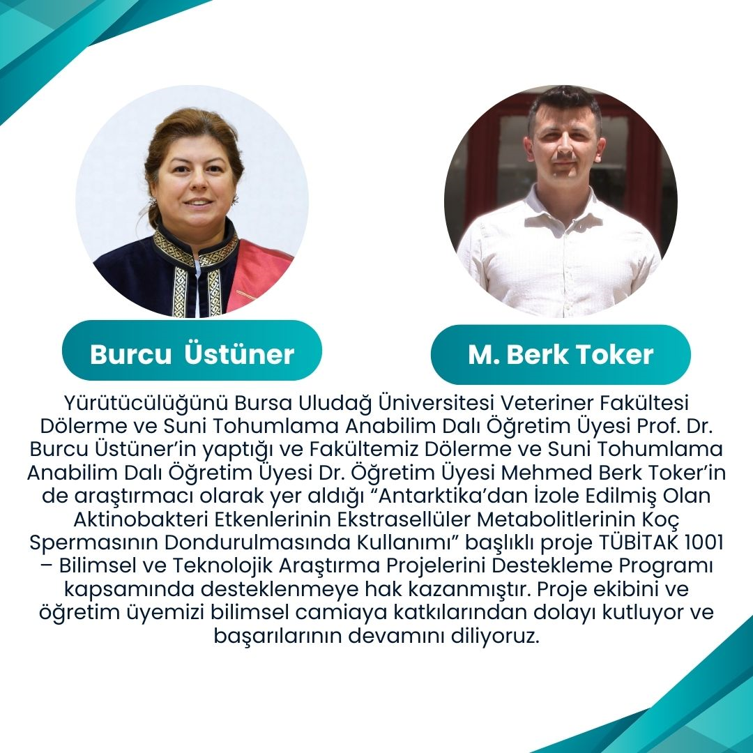 TÜBİTAK 1001 proje başarısı