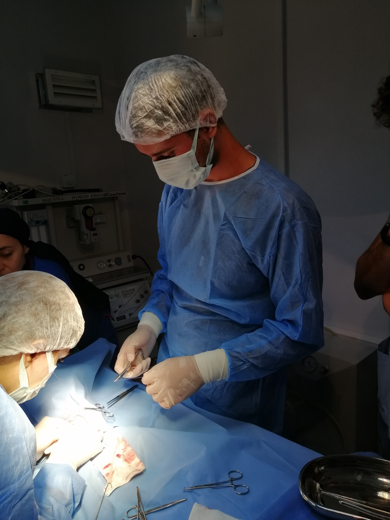 Milas Veteriner Fakültesi Eğitim ve Uygulama Hastanesi Randevulu Hasta Kabulüne Başlamıştır