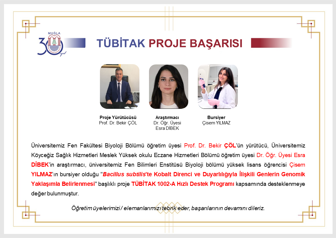 TÜBİTAK PROJE BAŞARISI