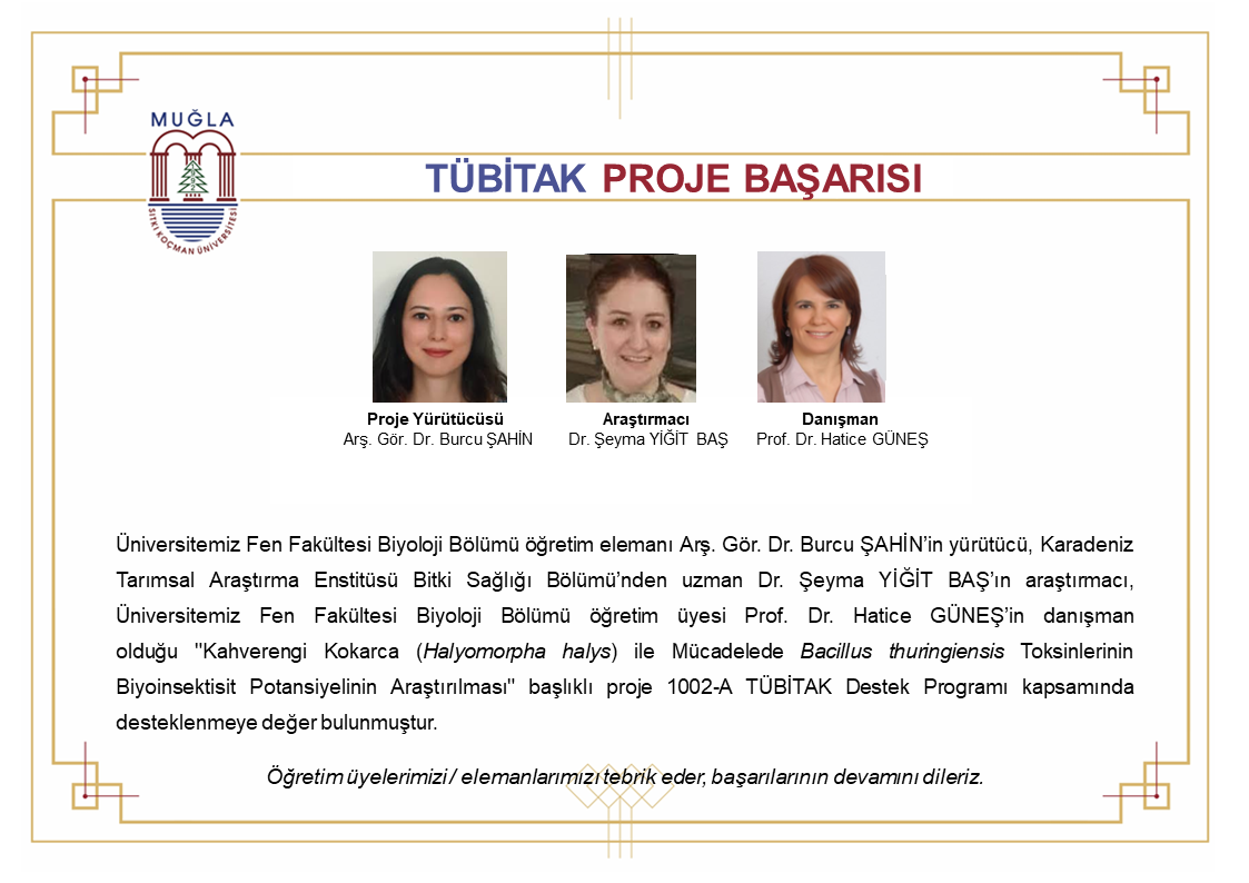 TÜBİTAK PROJE BAŞARISI