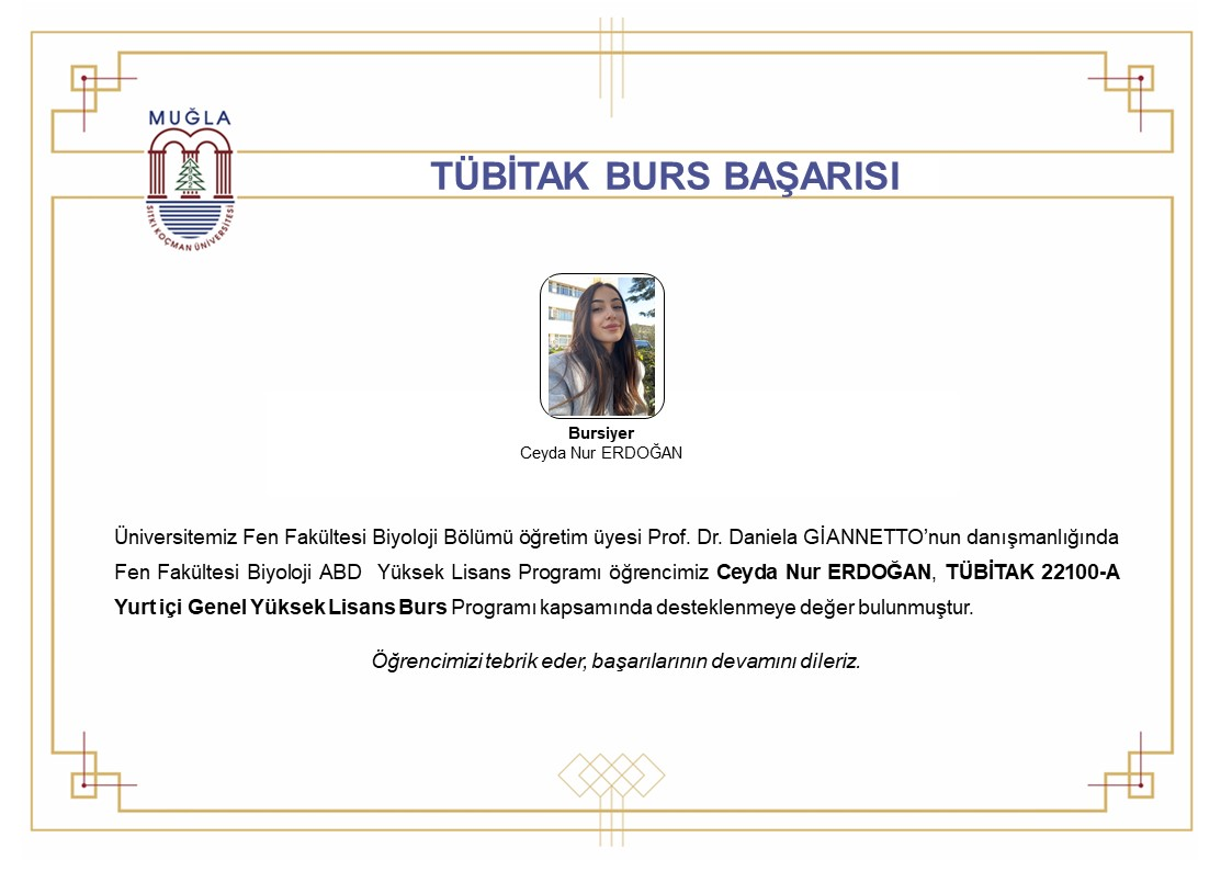 Tübitak Burs Başarısı