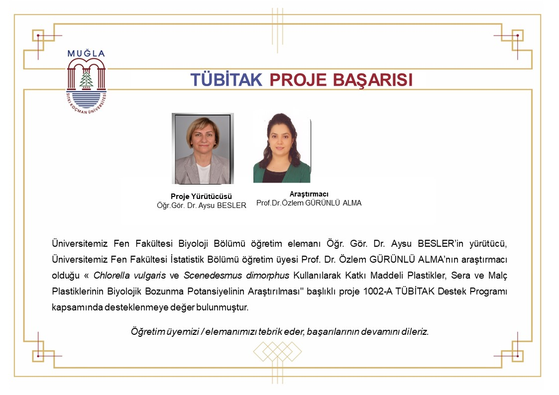 TÜBİTAK PROJE BAŞARISI