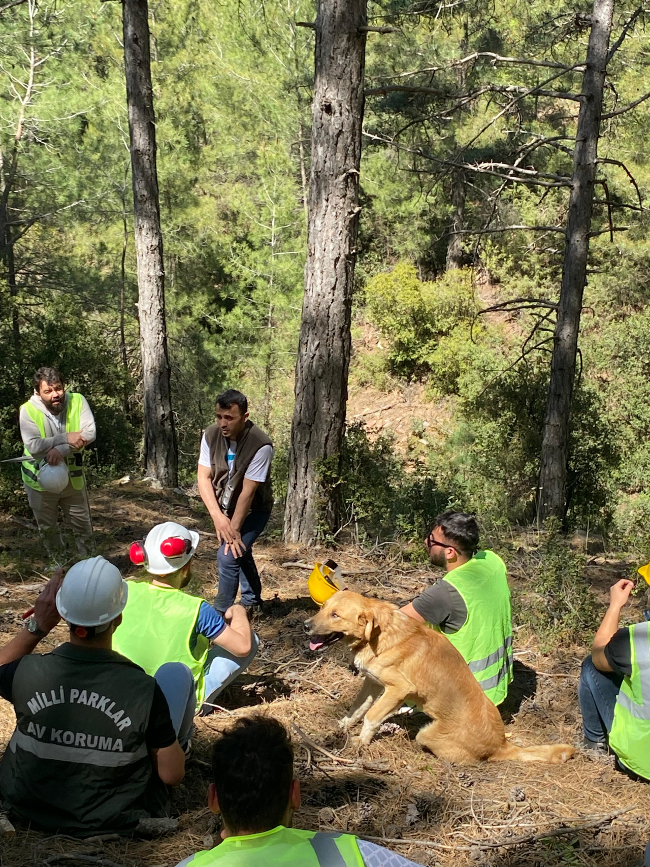 Orman Amenajmanı  Esasları dersi kapsamında arazi uygulamaları