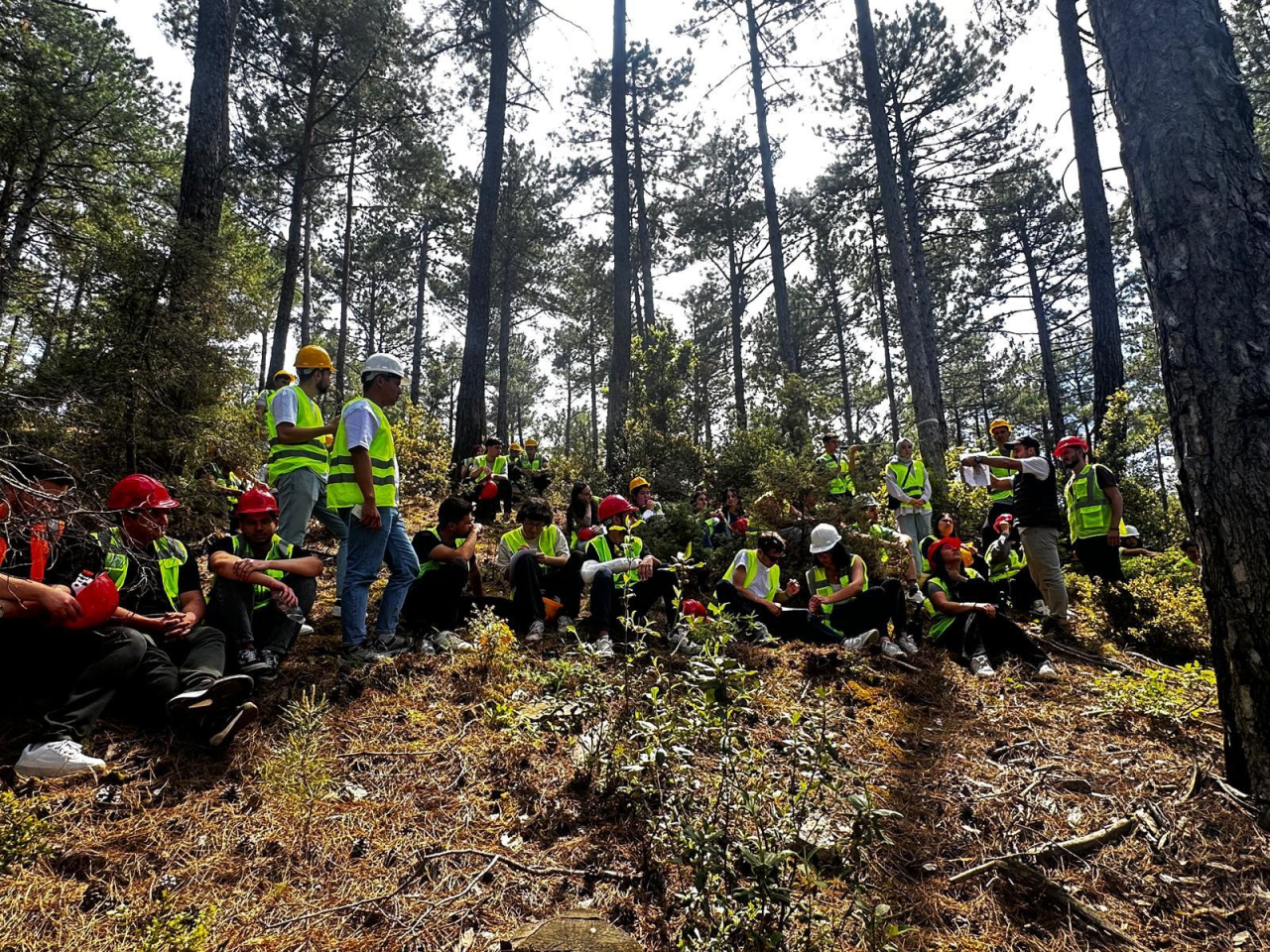 Orman Amenajmanı  Esasları Ders Uygulaması