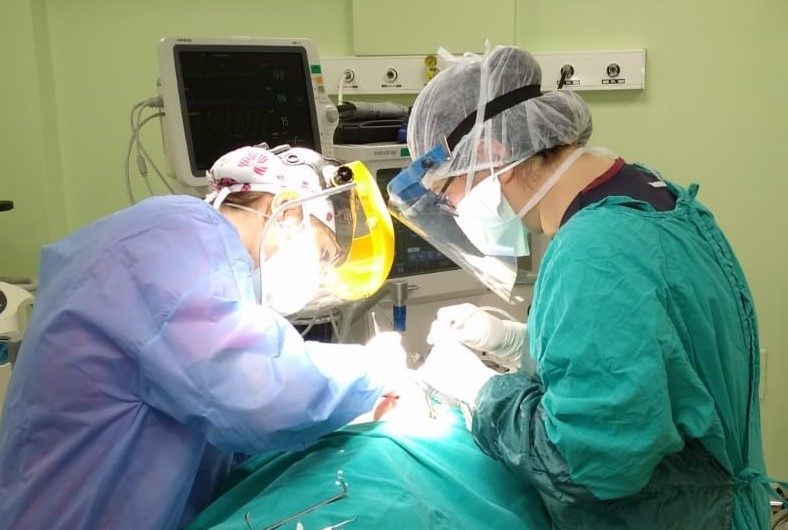 Muğla Sıtkı Koçman Üniversitesi Diş Hekimliği Fakültesi öğretim üyeleri tarafından, genel anestezi altında diş tedavi işlemlerine başlanmıştır