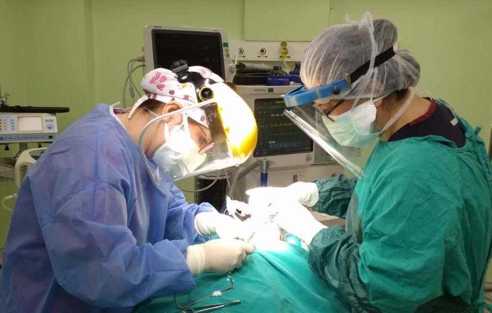 Muğla Sıtkı Koçman Üniversitesi Diş Hekimliği Fakültesi öğretim üyeleri tarafından, genel anestezi altında diş tedavi işlemlerine başlanmıştır