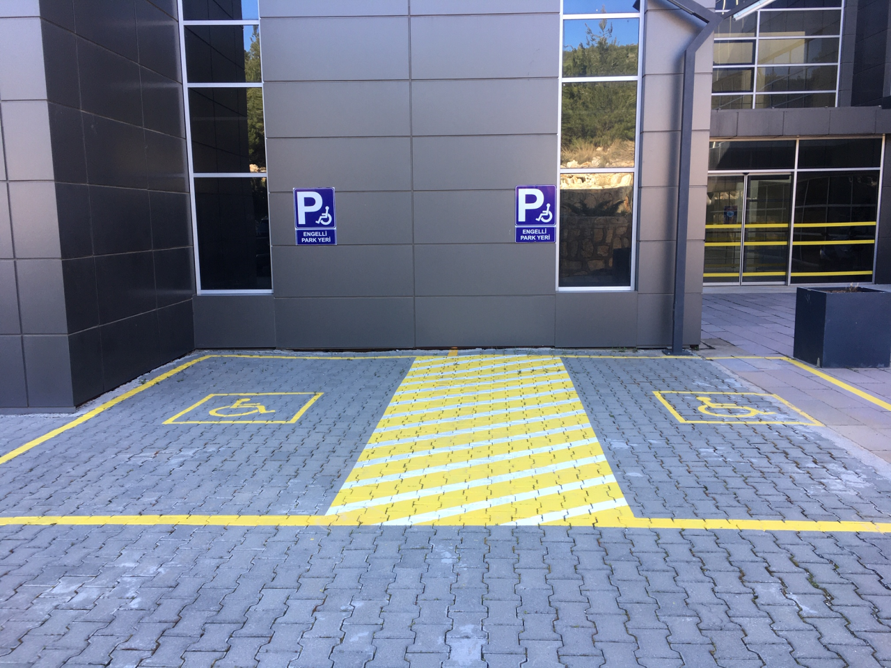 Barrier-Free University  