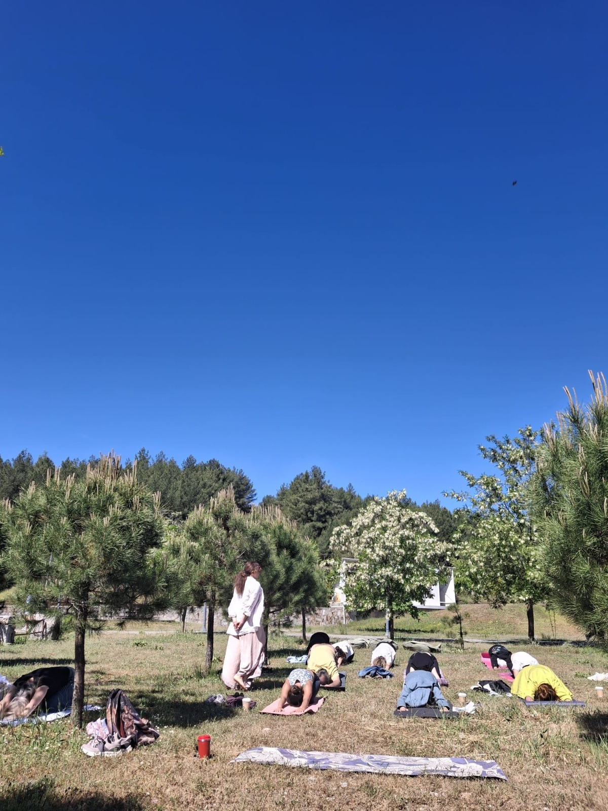 Breath, Mindfulness, and Wellbeing Came Together on the Green Campus
