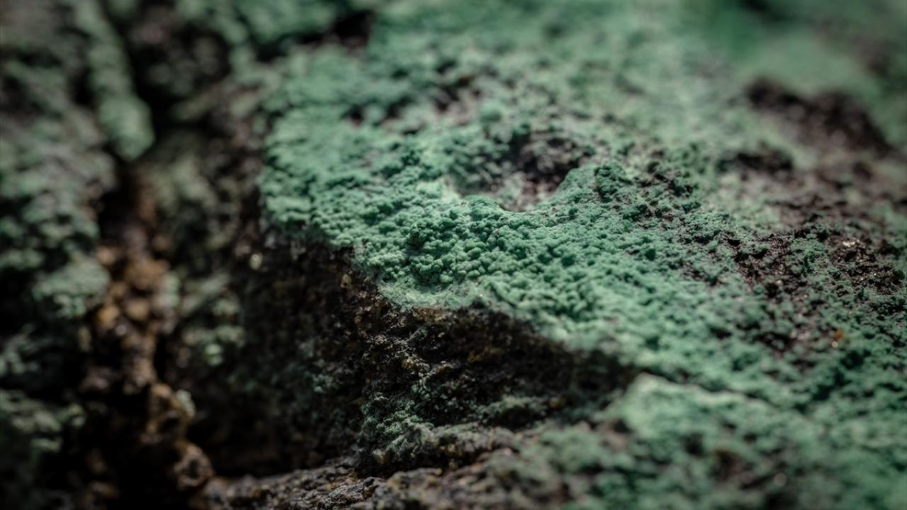 Bölümümüz Mezunu ve Eski Öğretim Elemanımız Dr. Göksu USLULAR Antarktika