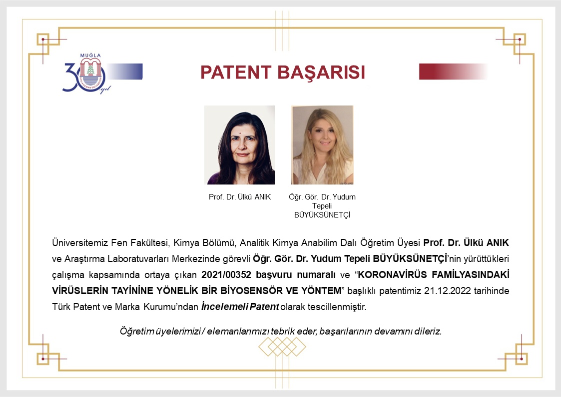Akademisyenlerimizin Patenti Tescillendi!