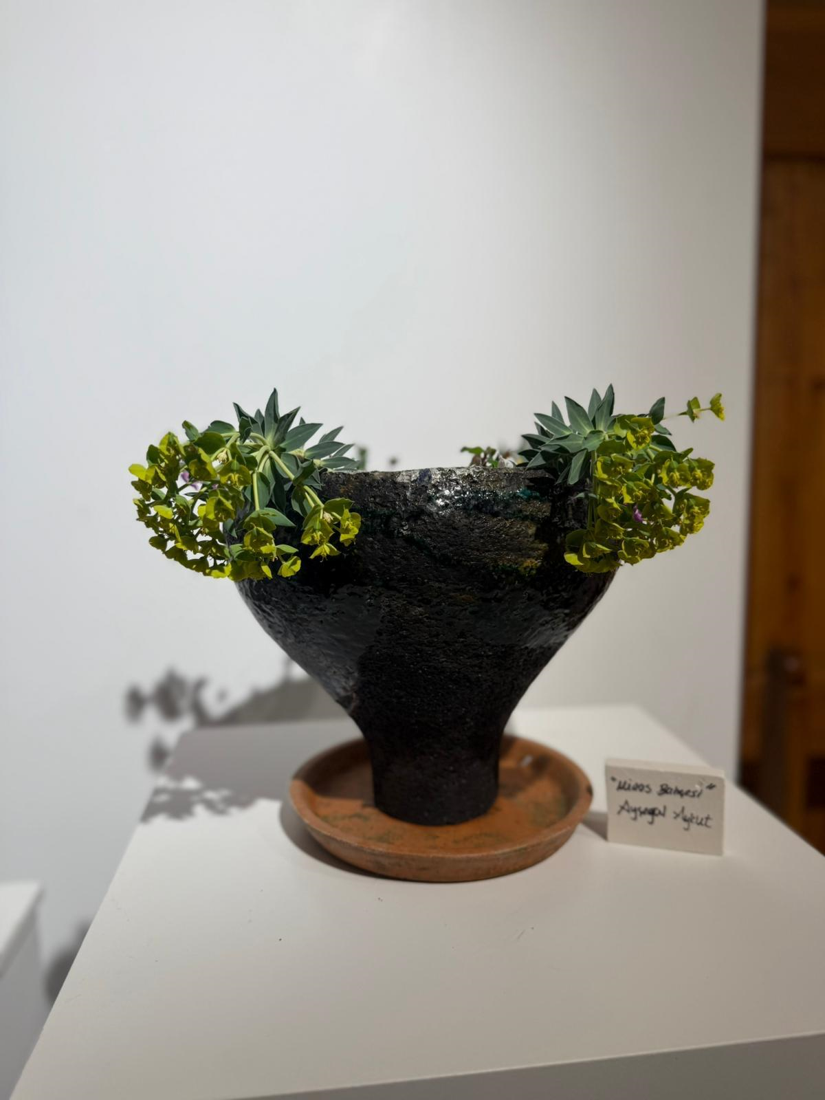 "Bir Minos Hikayesi" Seramik Sergisi Datça