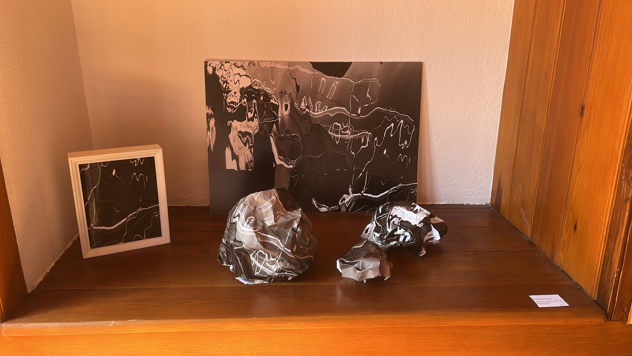 “Akrom” Sergisi Bilim ve Sanat Evi’nde Açıldı