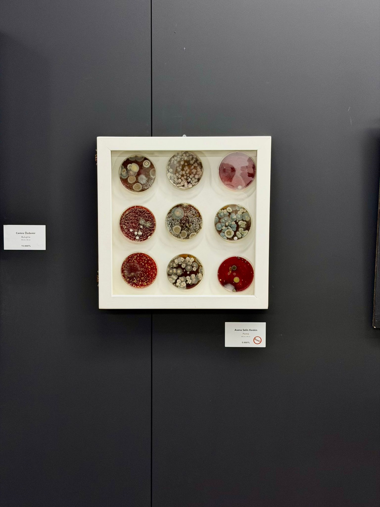 Öğrencilerimizin Başarısı