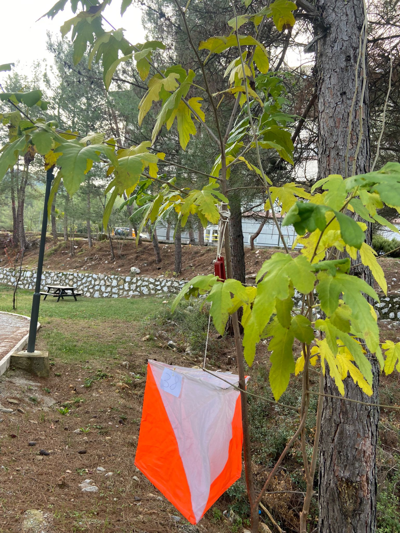 Gençlik Yılı Kapsamında Fakültemizde Çok Yönlü Spor Etkinlikleri Gerçekleştirildi