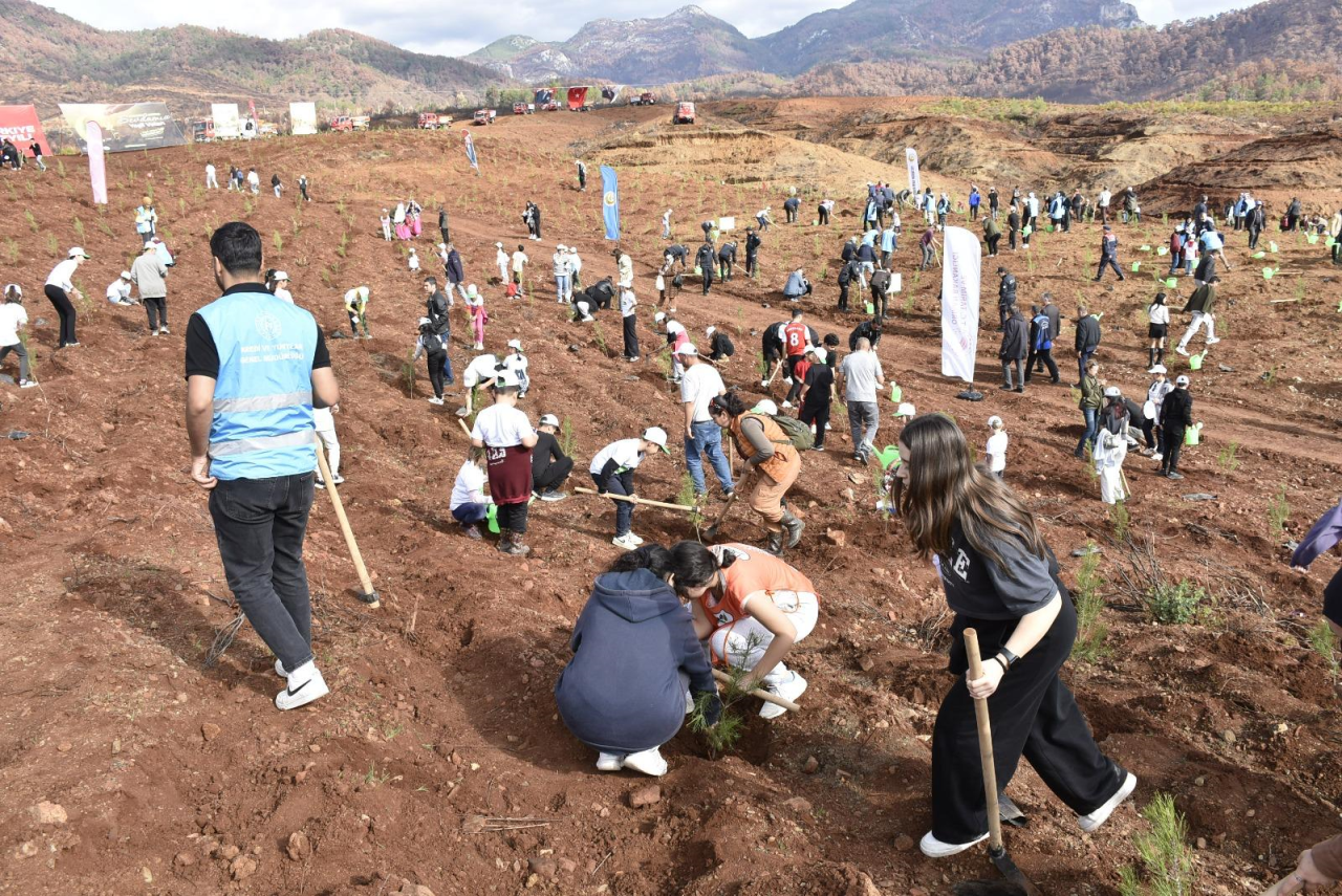 Yeşil Vatan Seferberliği Sloganıyla Köyceğiz