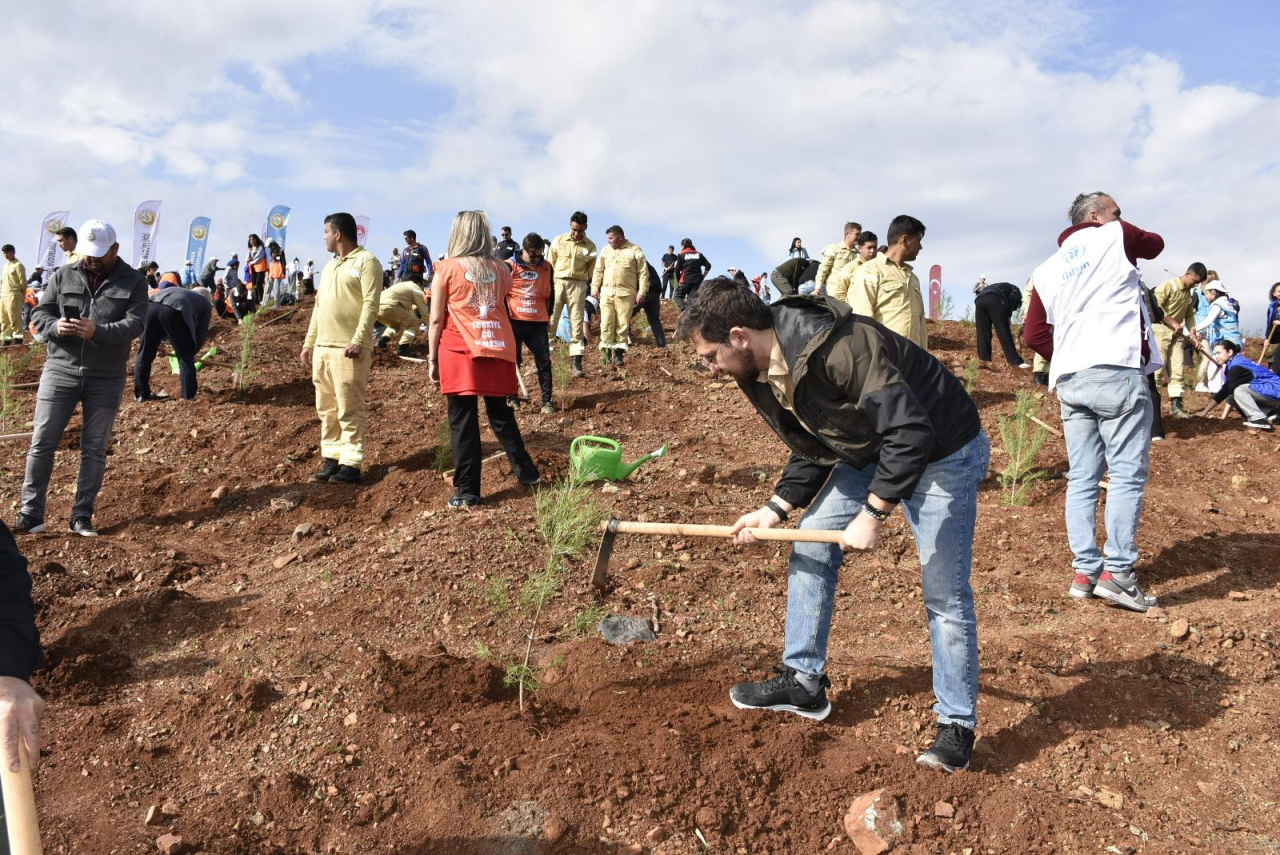 Yeşil Vatan Seferberliği Sloganıyla Köyceğiz